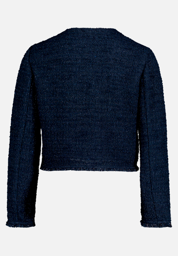 Blazer-Jacke langarm / Rückseite