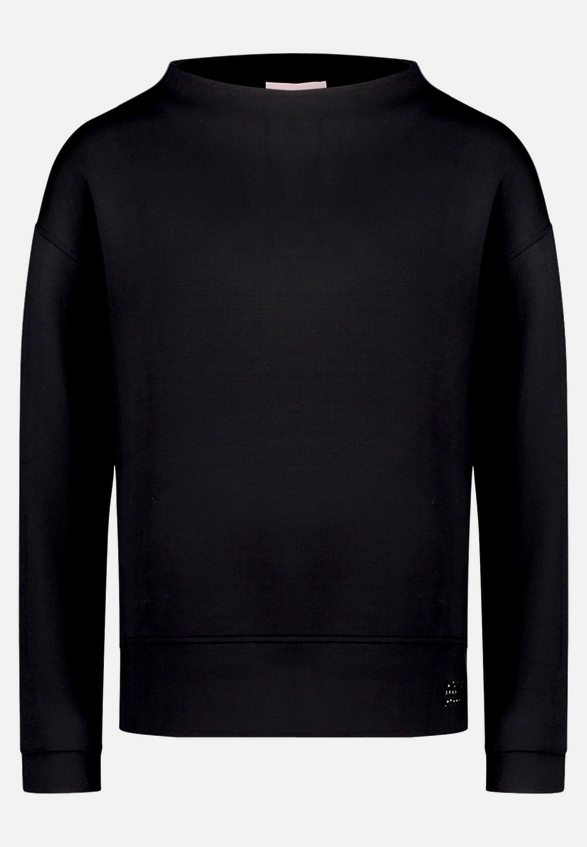 Sweatshirt mit Stehkragen / Vorderseite