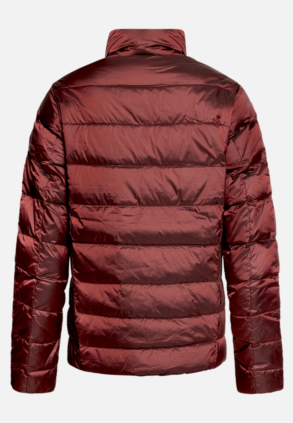 Daunenjacke   mit Stehkragen / Rückseite
