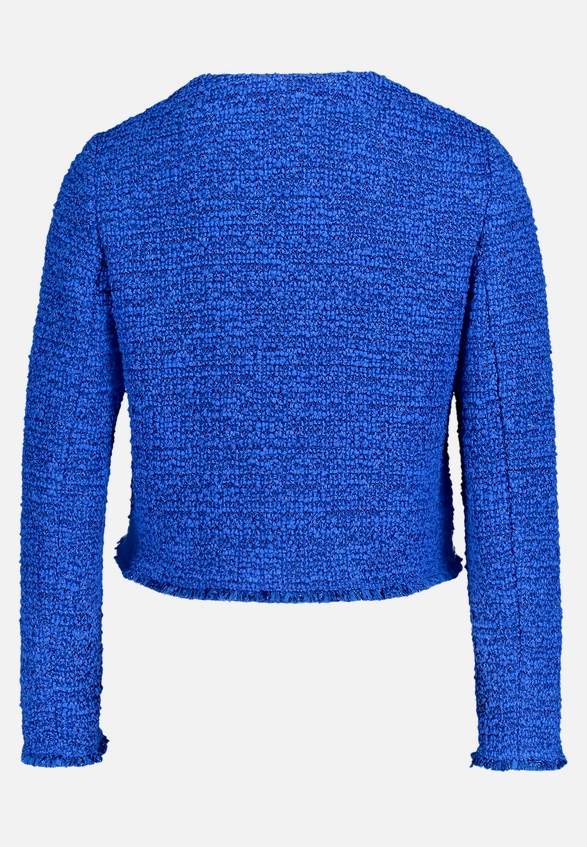 Blazer-Jacke langarm / Rückseite