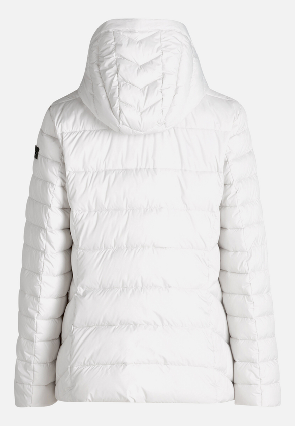 Steppjacke mit abnehmbarer Kapuze / Rückseite