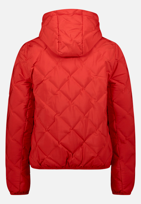 Leichte Steppjacke  mit Kapuze  / Rückseite