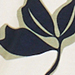 Beige/Dark Blue