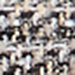 Schwarz/Beige