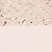 Grau Beige