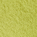 Fresh Moss